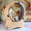 Cat Exercise Wheel â€“ Running, Spinning, and Scratching Fun, Cat Treadmill with Carpeted Runway, Kitty Cat Sport Toy