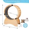 Cat Exercise Wheel â€“ Running, Spinning, and Scratching Fun, Cat Treadmill with Carpeted Runway, Kitty Cat Sport Toy