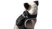 Portable Surveillance System GPS Pet Tracking Collars for Hunting Dogs Size:XS